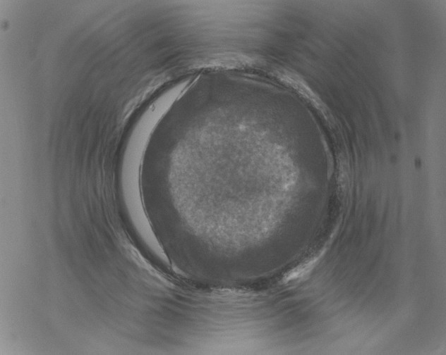 X0000067920585200605112010