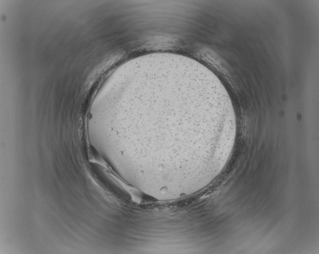 X0000067920586200605112010