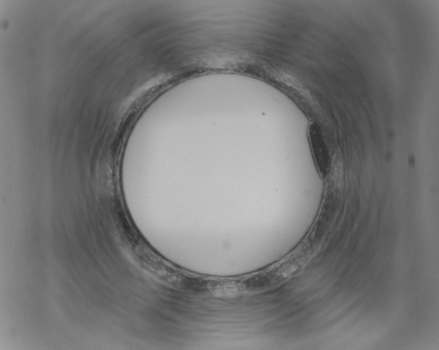 X0000067920587200605112010