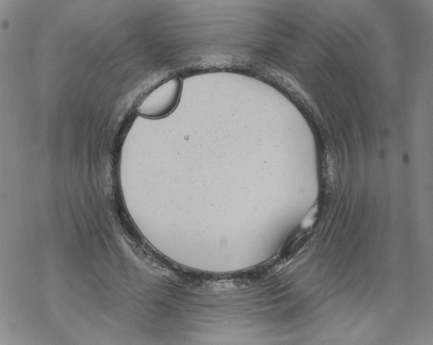 X0000067920588200605112010