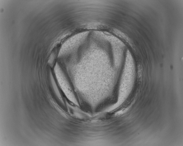 X0000067920589200605112010