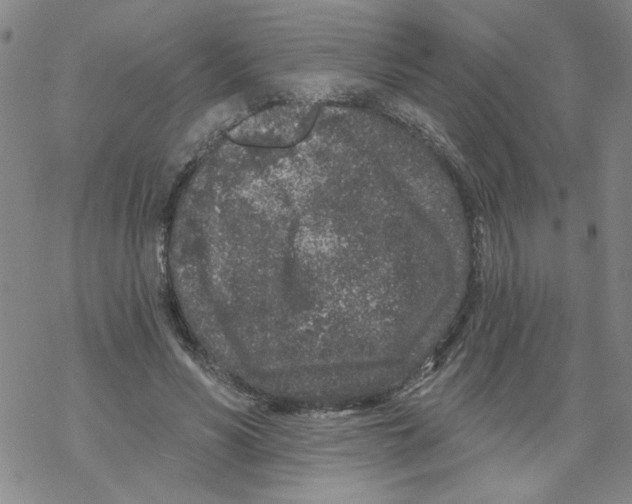 X0000067920590200605112010