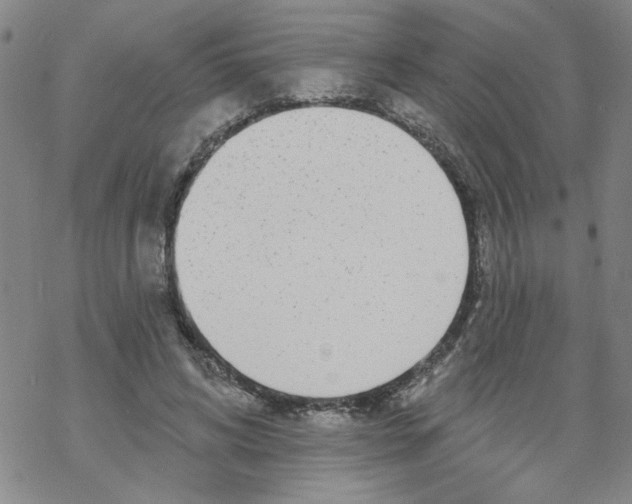 X0000067920592200605112010