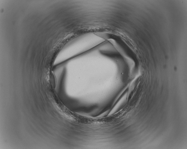 X0000067920593200605112010