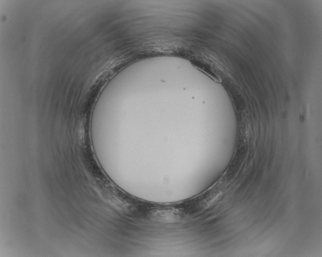 X0000067920595200605112010