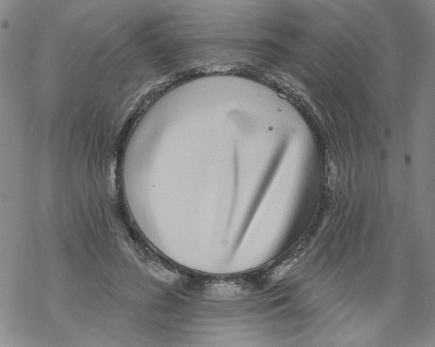 X0000067920596200605112010