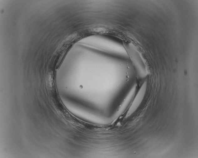 X0000067920597200605112010