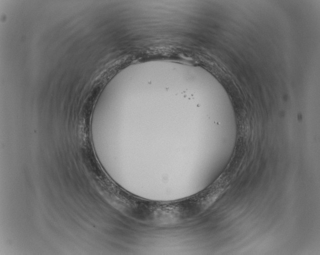 X0000067920599200605112010