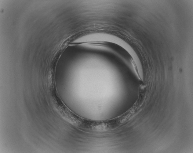 X0000067920600200605112010