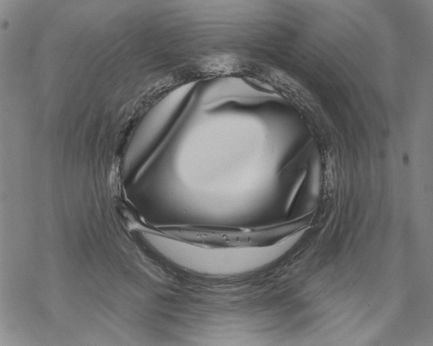 X0000067920601200605112010