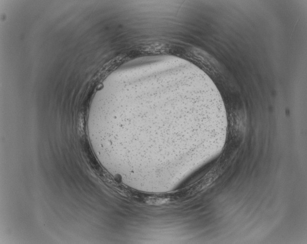 X0000067920602200605112010