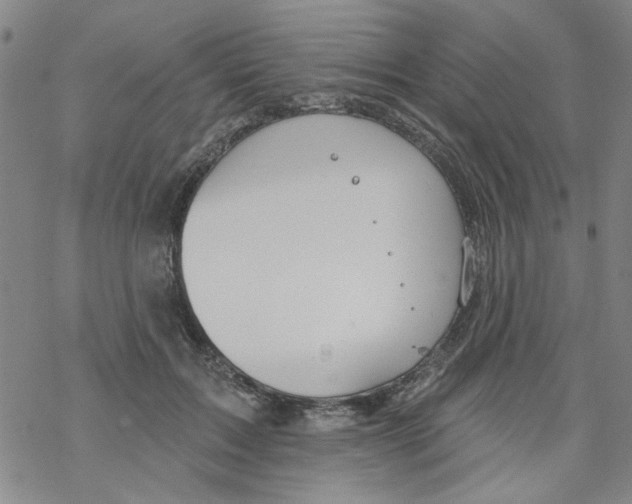 X0000067920603200605112010