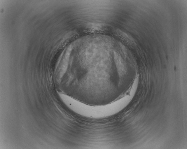 X0000067920607200605112010