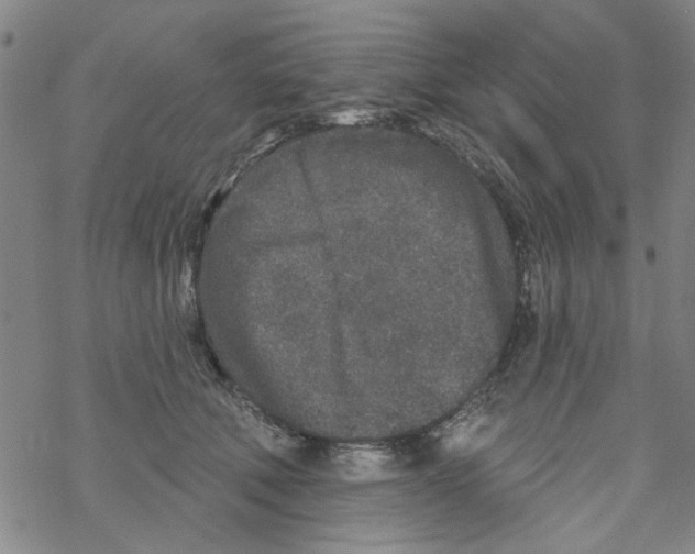 X0000067920610200605112010