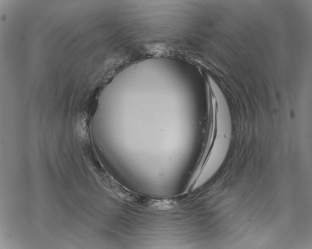 X0000067920611200605112010