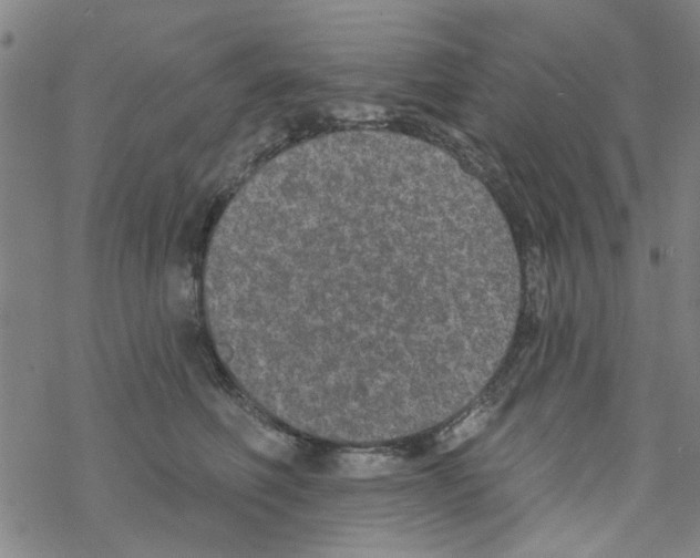 X0000067920614200605112010