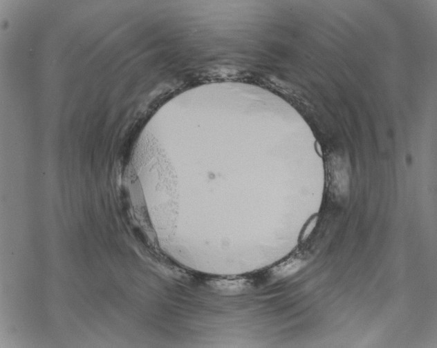 X0000067920615200605112010