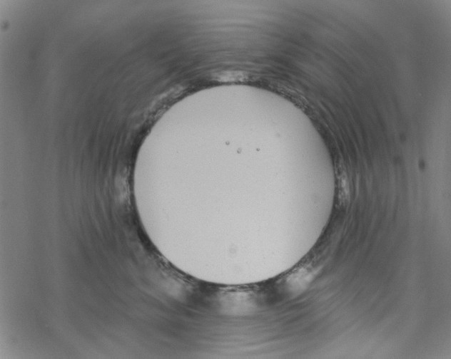 X0000067920620200605112010