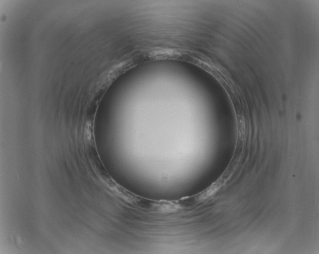 X0000067920621200605112010