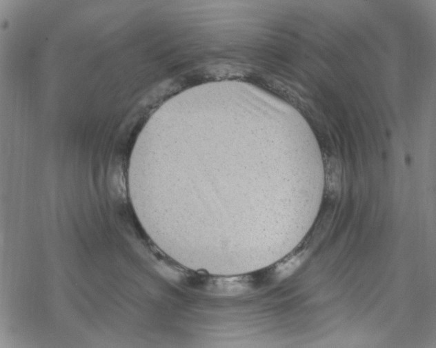 X0000067920622200605112010