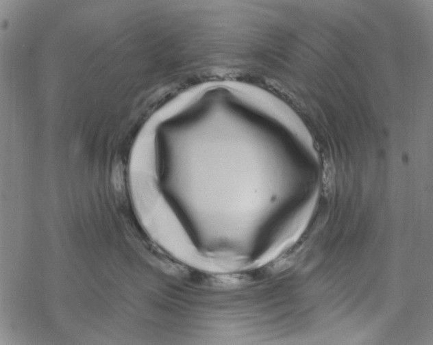 X0000067920623200605112010