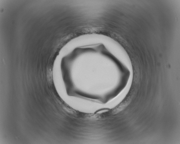 X0000067920624200605112010