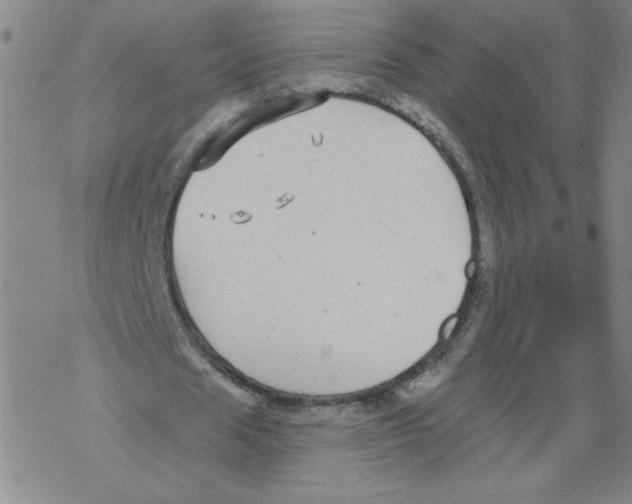 X0000067920625200605112009