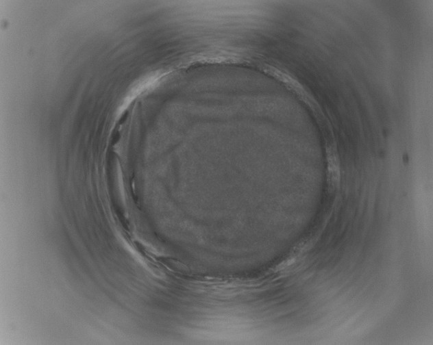 X0000067920626200605112009