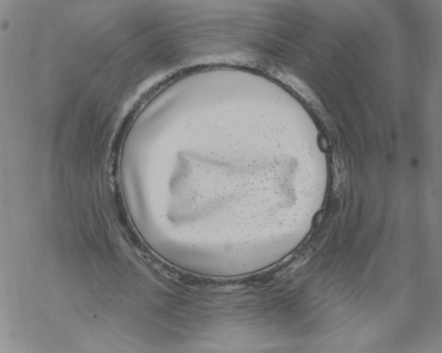 X0000067920628200605112009