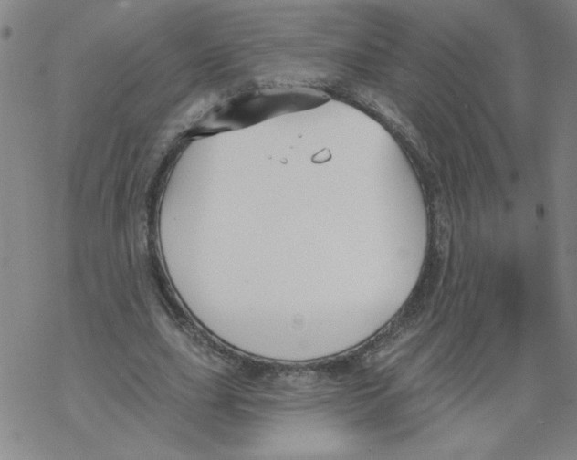 X0000067920631200605112009