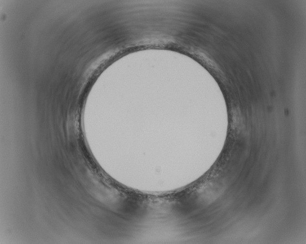 X0000067920632200605112009