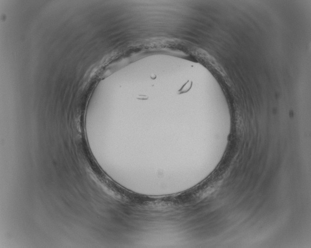 X0000067920633200605112009