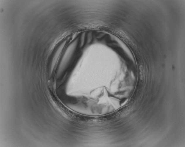 X0000067920634200605112009