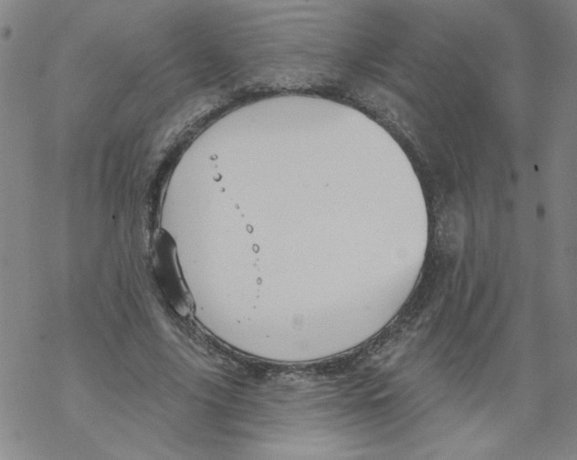 X0000067920635200605112009