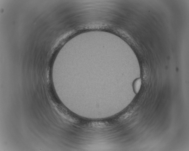 X0000067920636200605112009