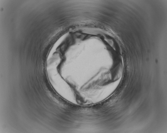 X0000067920637200605112009