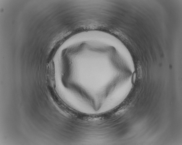 X0000067920638200605112009