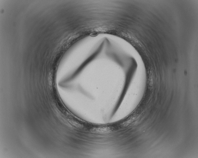 X0000067920639200605112009