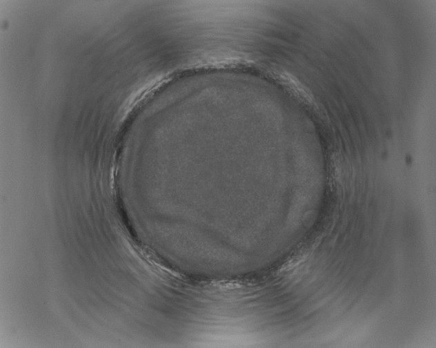 X0000067920640200605112009