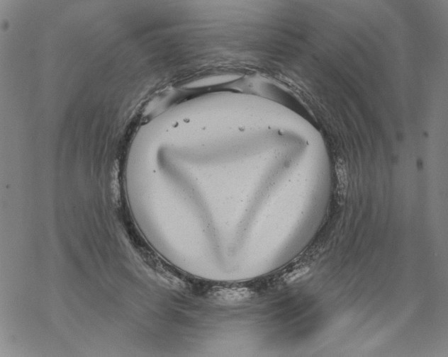 X0000067920642200605112009