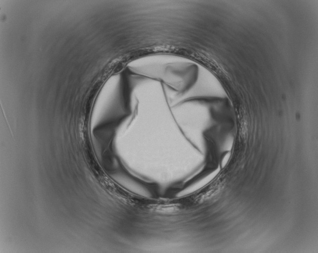 X0000067920643200605112009