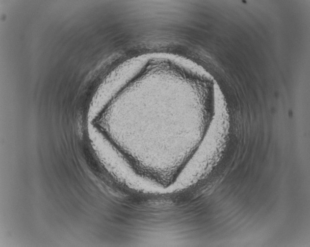 X0000067920644200605112009