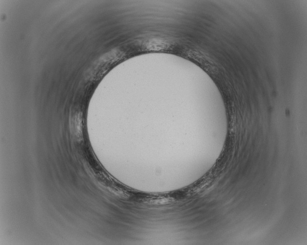 X0000067920646200605112009