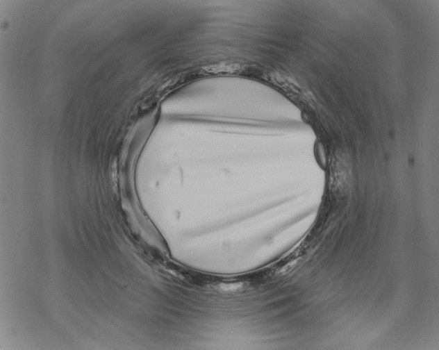 X0000067920647200605112009