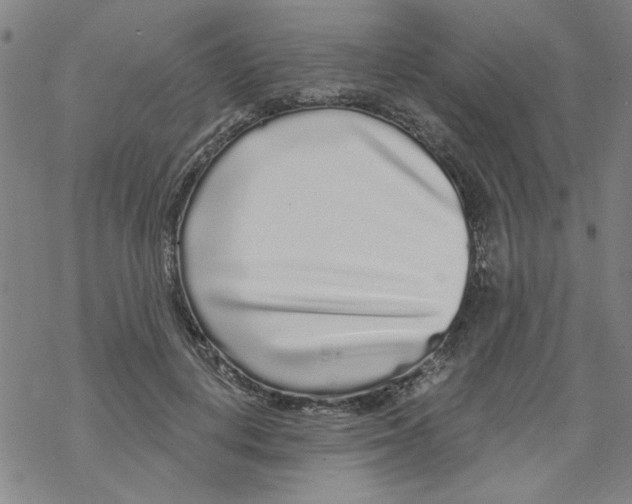 X0000067920648200605112009