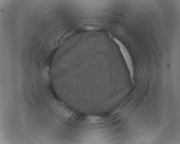 X0000067920650200605112009