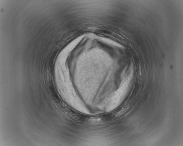 X0000067920651200605112009