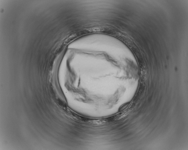 X0000067920652200605112009