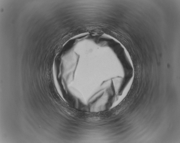 X0000067920653200605112009