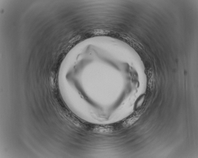 X0000067920655200605112009